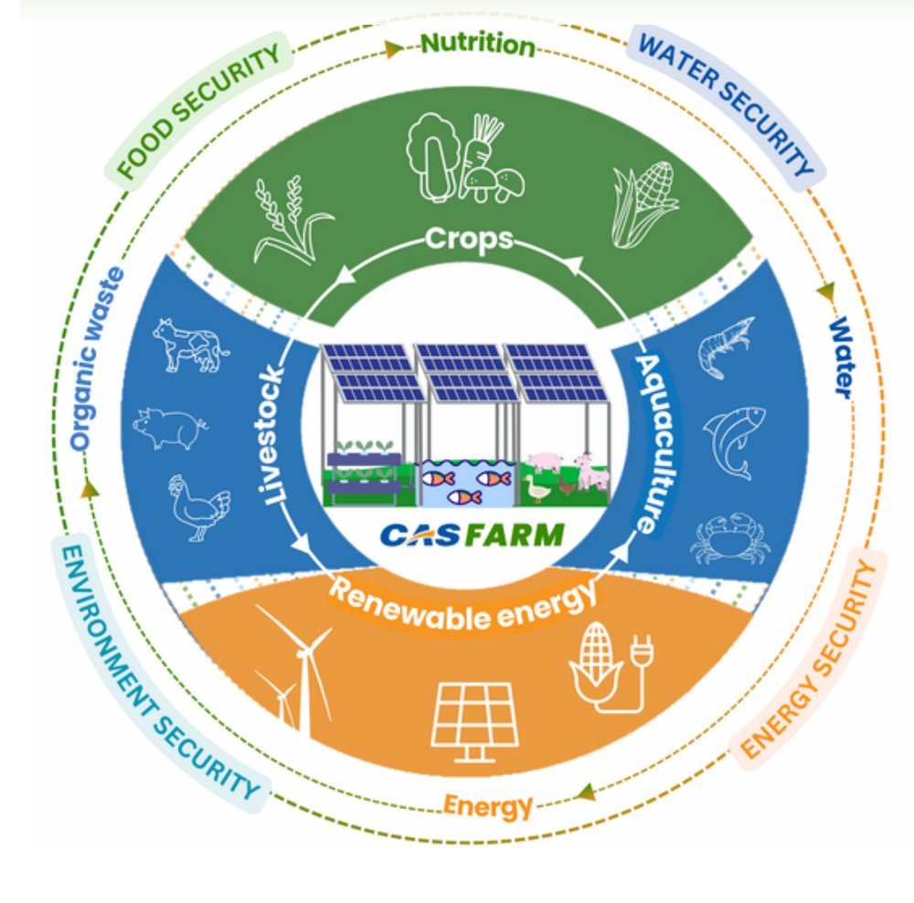 Mô hình tuần hoàn Circular AgriSolar Farm: Crops – Aquaculture – Renewable energy – Livestock