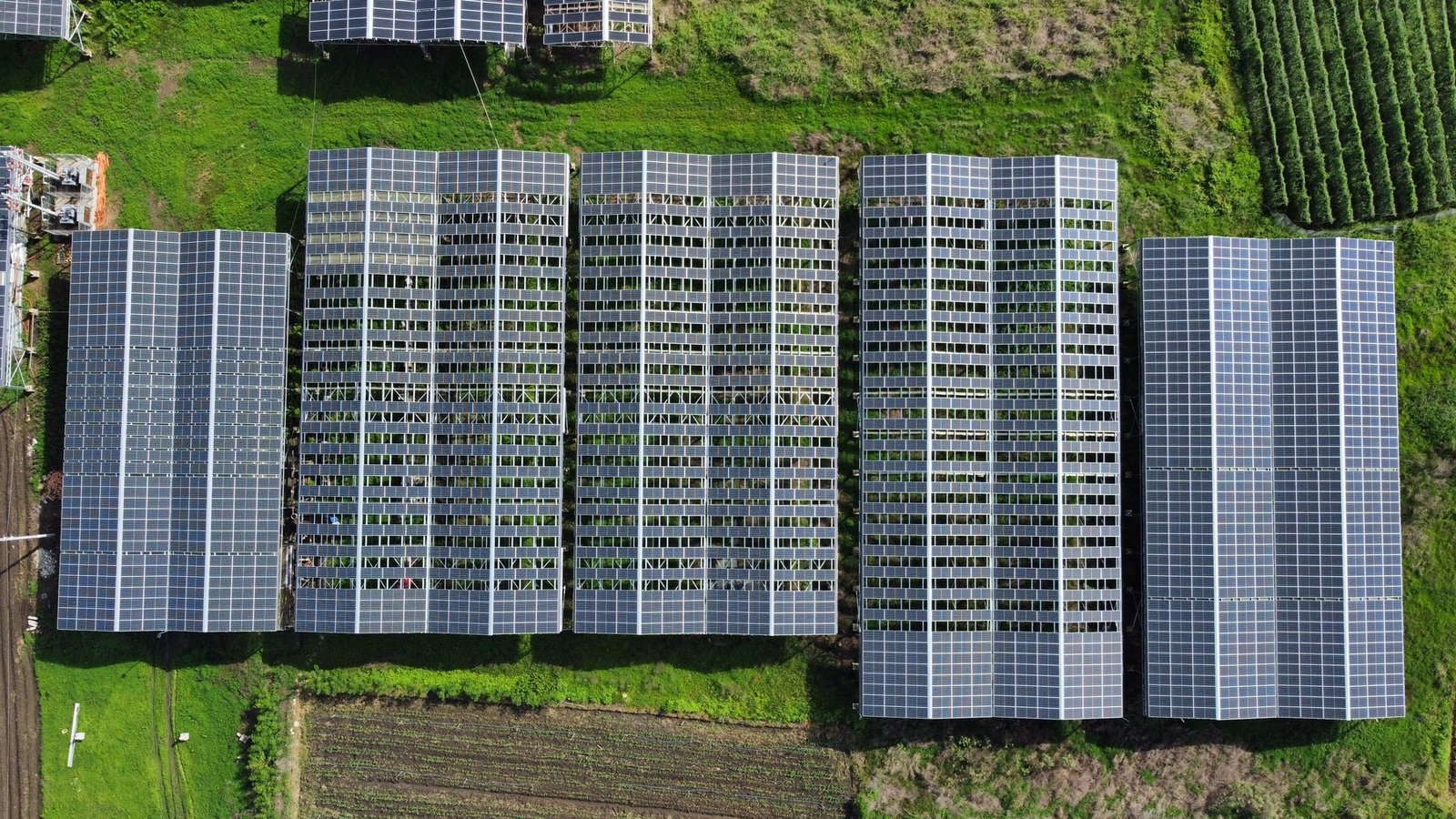 Trang trại Circular AgriSolar Farm nhìn từ trên cao, Đồng Nai