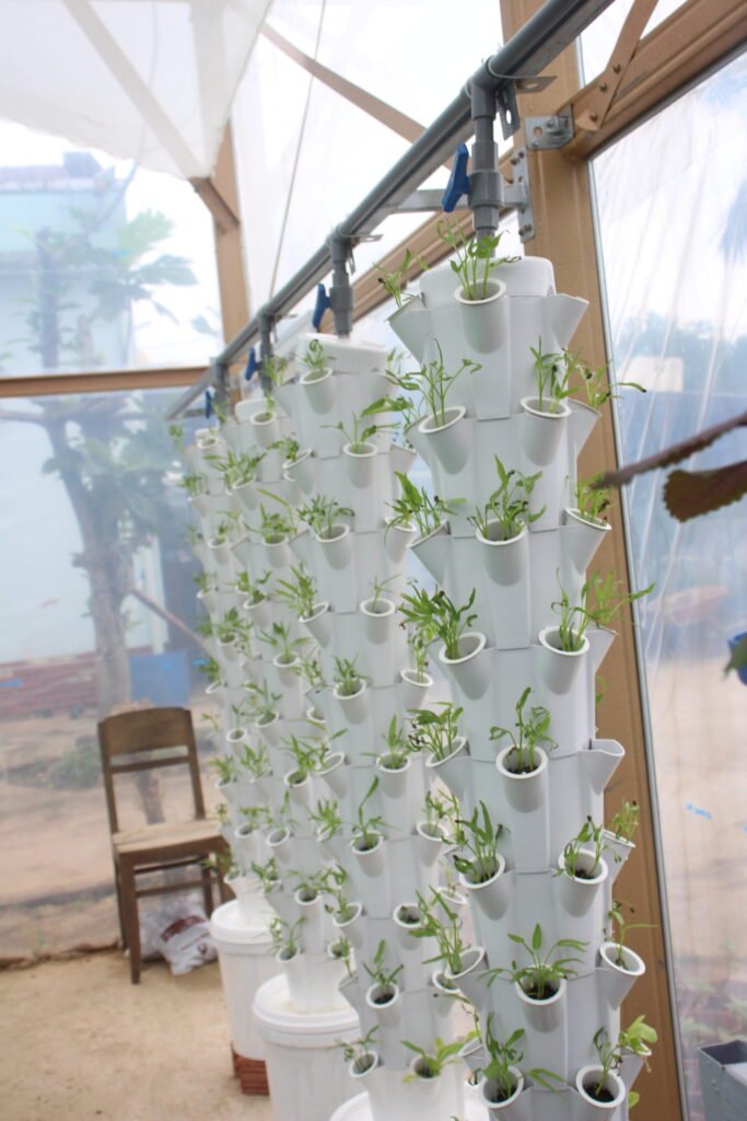 Giàn trụ thủy canh trong hệ aquaponics đặt trong nhà màng