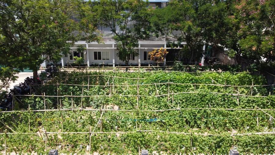 Inclusive Green Transition — CASFarm