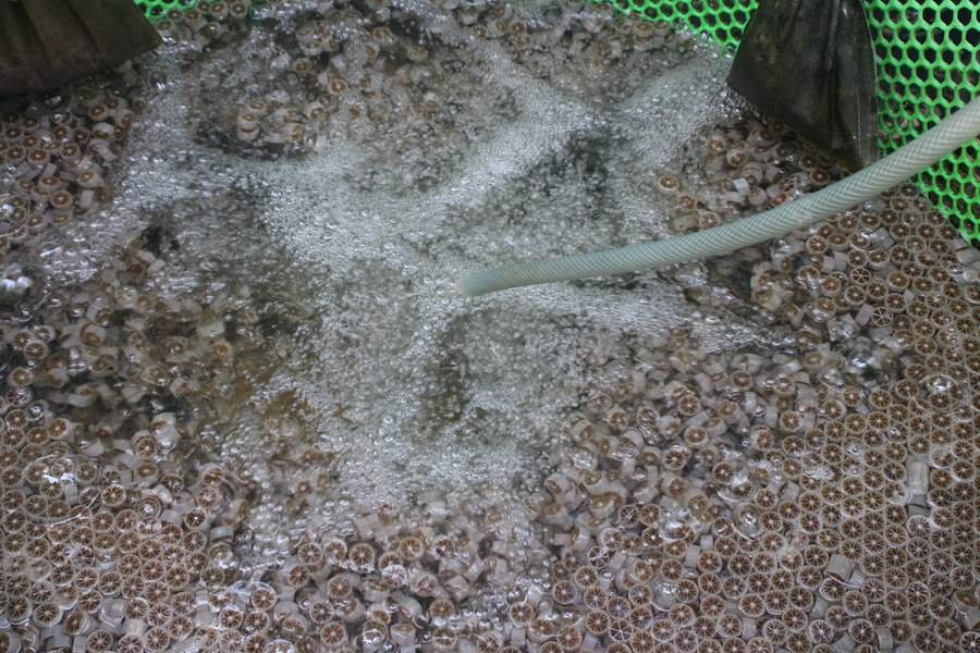 Circular Farming — CASFarm