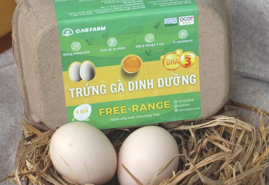 Trứng gà nhân đạo Certified Humane — CASFarm