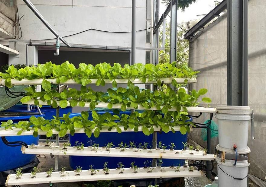 Vườn hữu cơ tuần hoàn trong nhà máy — CASFarm