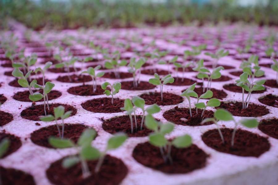 Precision Farming — CASFarm