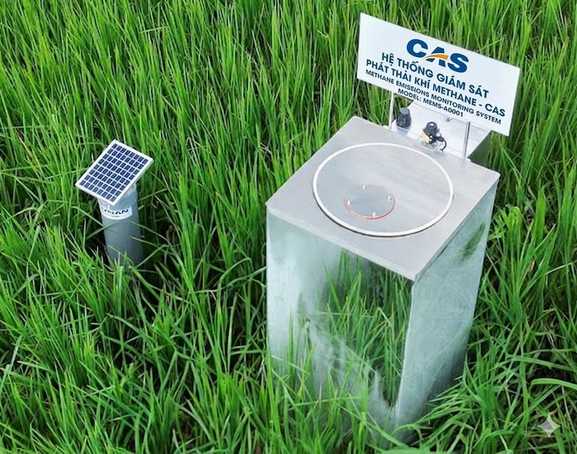 Hệ thống giám sát phát thải khí methane MEMS-A0001 của CAS đặt tại ruộng lúa, dùng buồng đo kín và tấm pin mặt trời cấp nguồn độc lập