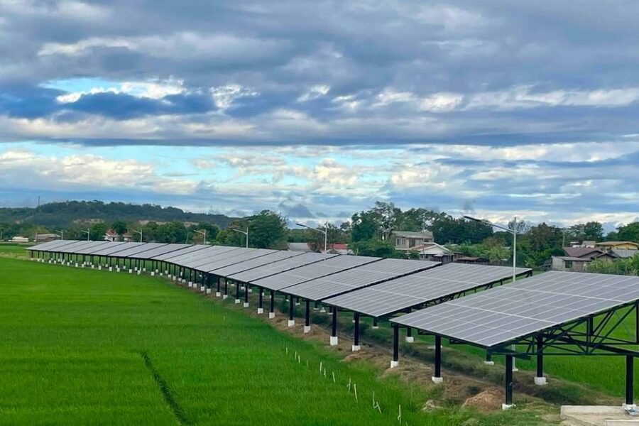 Dàn pin mặt trời lắp trên cao phía trên ruộng lúa đang xanh — mô hình agrivoltaics kết hợp sản xuất điện và canh tác lúa